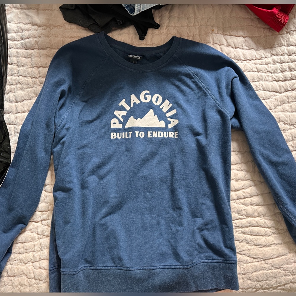 Patagonia Pullover